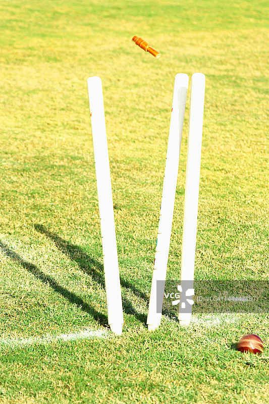 被板球击打过的树桩图片素材