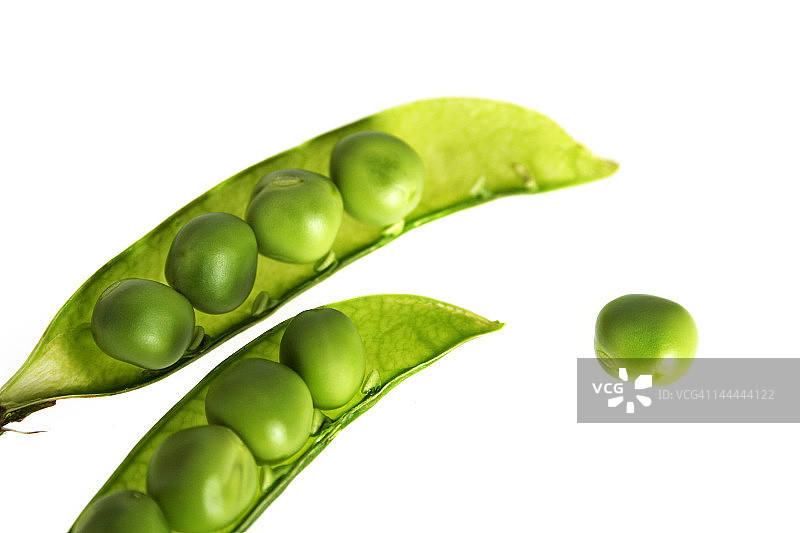 豌豆荚摄影棚拍摄图片素材