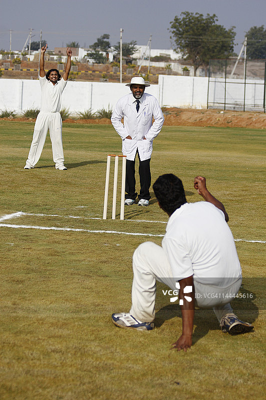 板球投球手和防守队员向裁判申诉图片素材