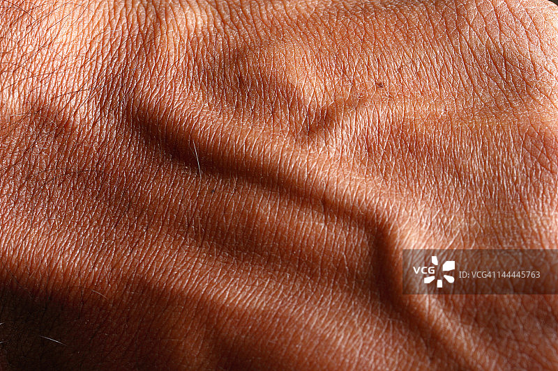 人手臂上的神经图片素材