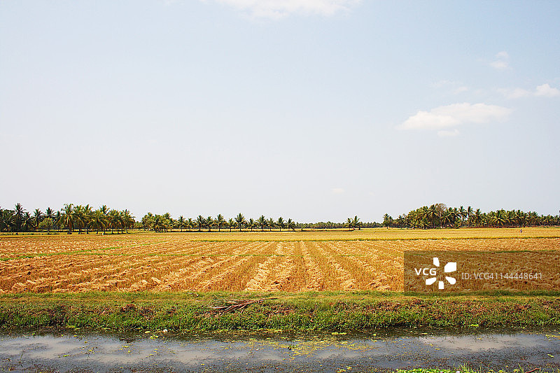 田野景色图片素材