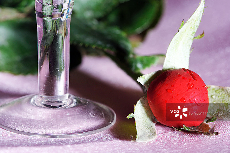 烛台和玫瑰的景象图片素材