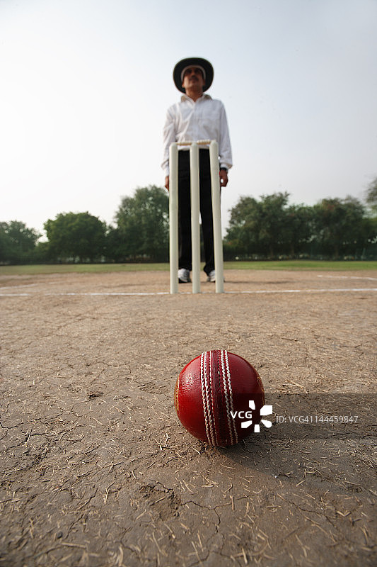 板球场上的板球特写，裁判在背景球门后图片素材