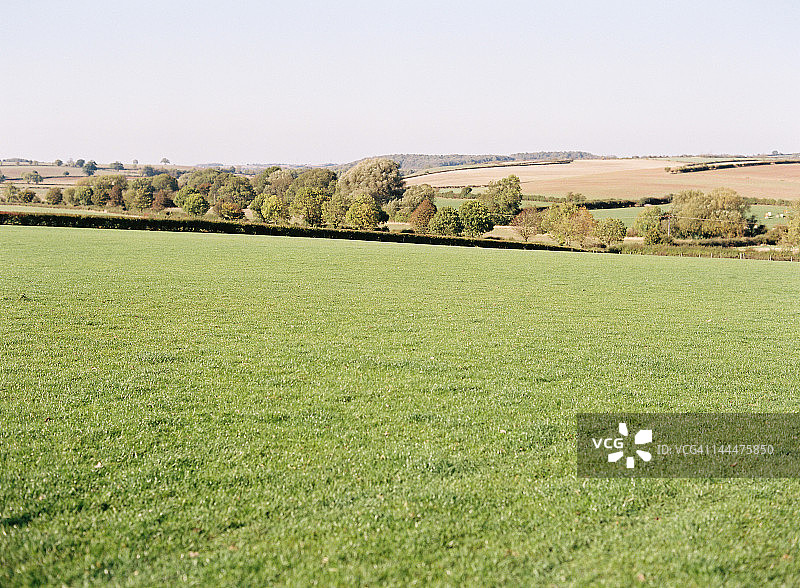 绿色宜人的土地图片素材