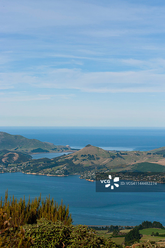 奥塔哥港图片素材