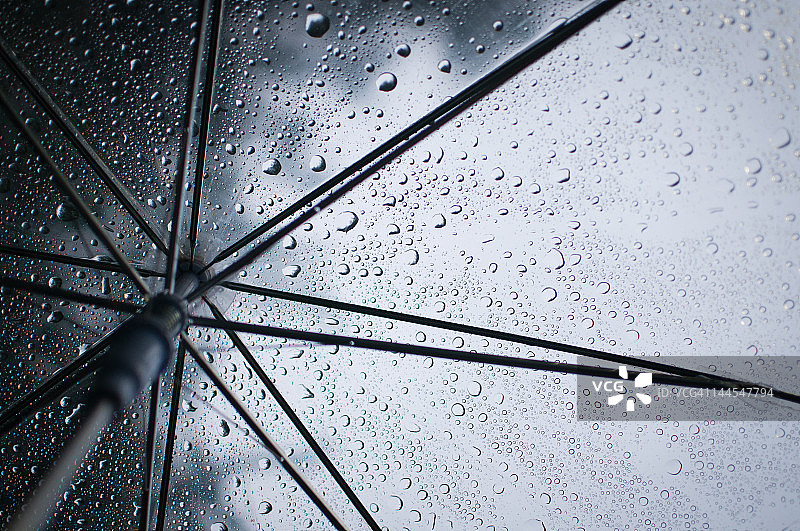 守护者图片素材