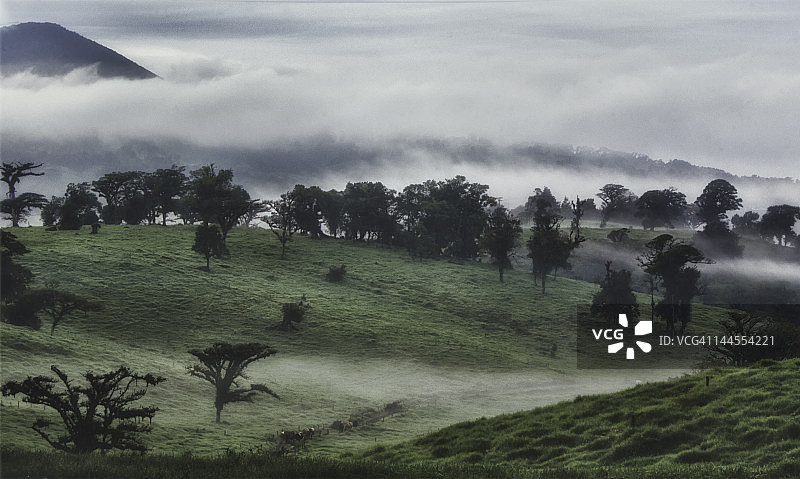 早晨的雾图片素材