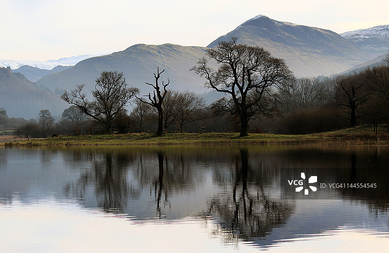 从巴森斯韦特湖看猫铃图片素材