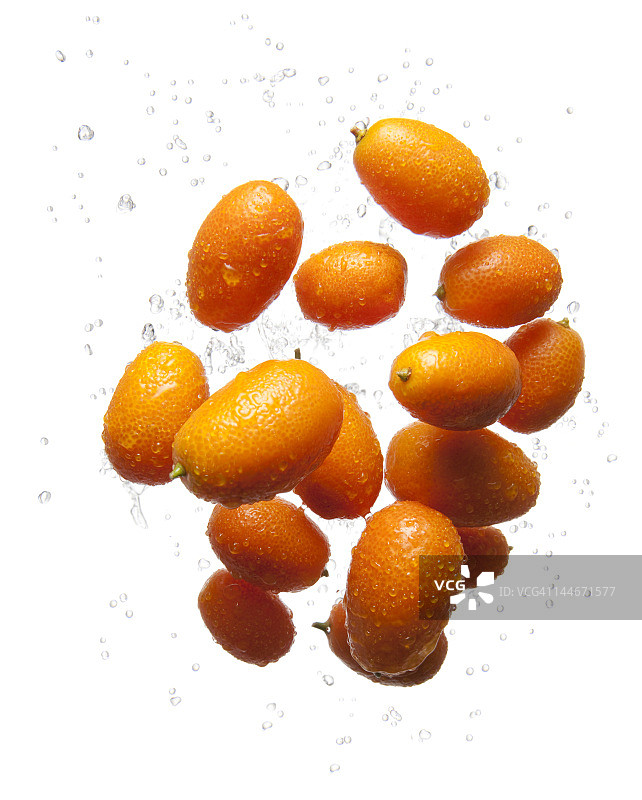 飞翔的金橘图片素材