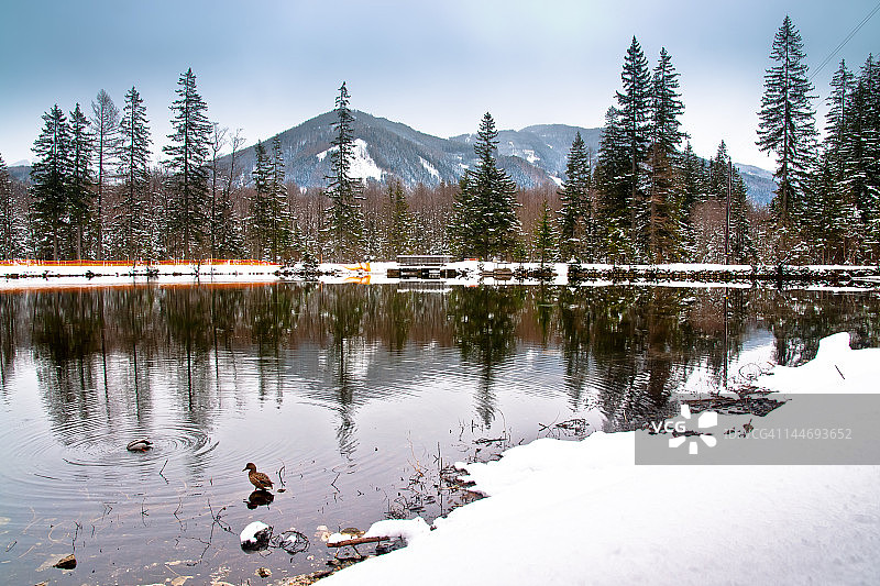 寒冷田园风光图片素材