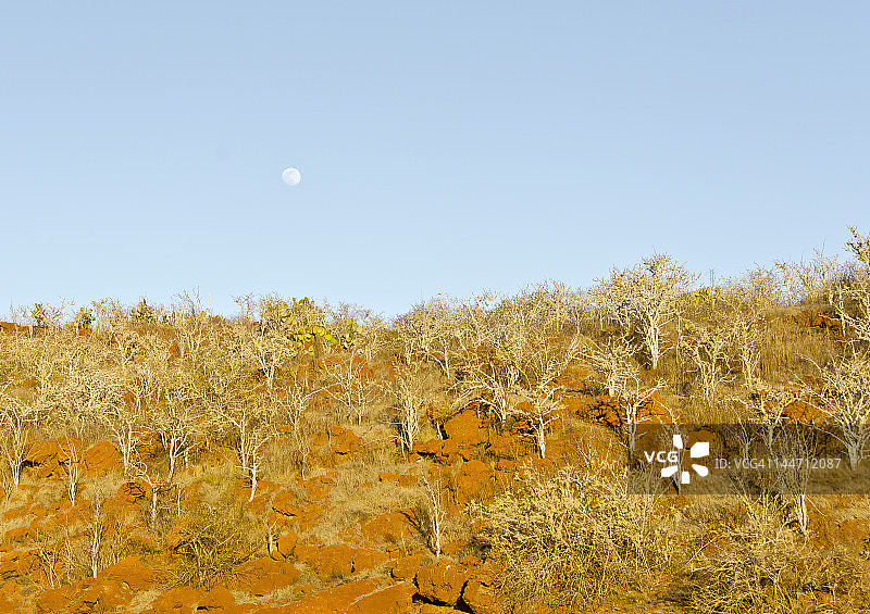 拉比达岛旱季图片素材