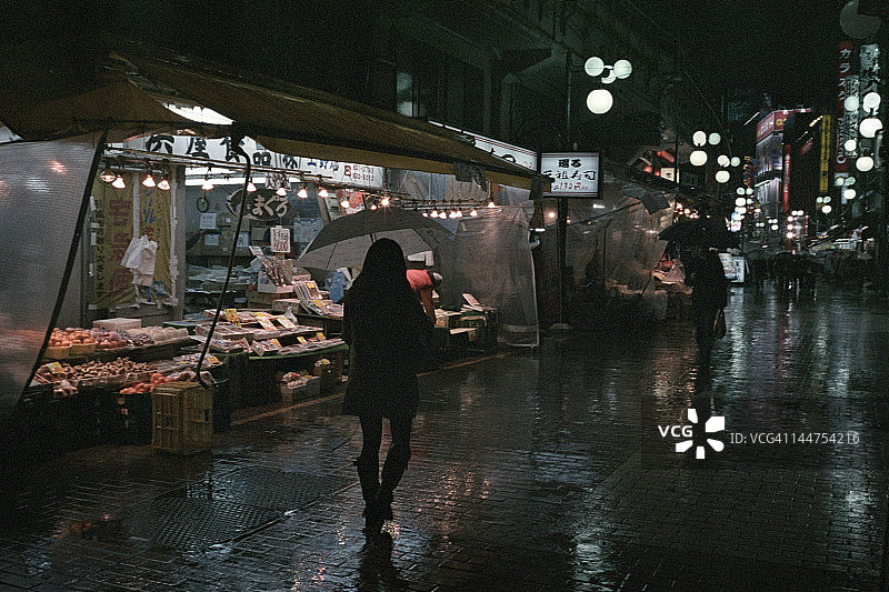 雨中的上野图片素材