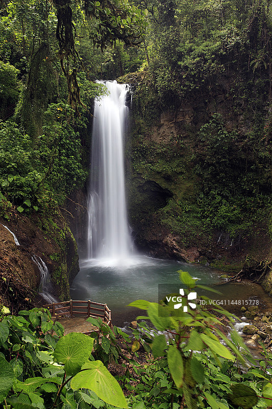 雨林瀑布图片素材