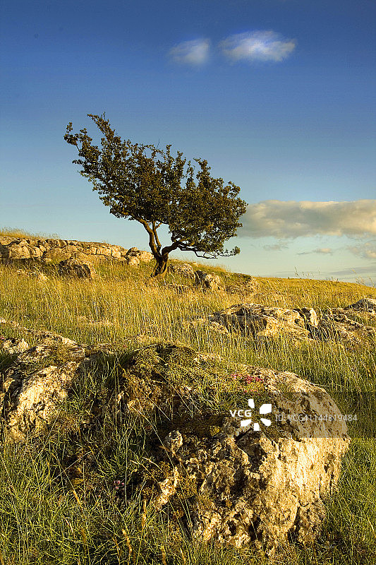 约克郡山谷的夏日风光图片素材