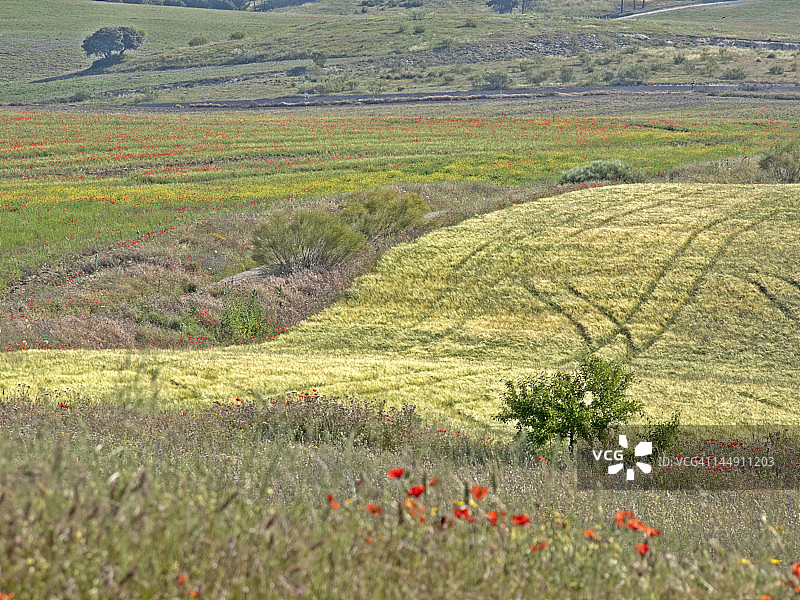 赫塔菲的春天图片素材