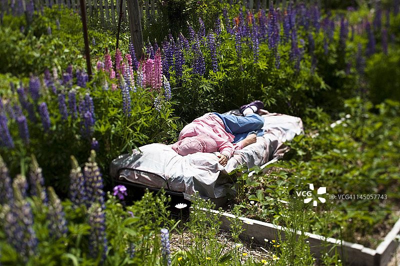 一位退休妇女在爱达荷州有机花园里被鲜花环绕着小睡图片素材