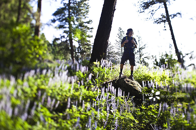 年轻人在爱达荷州野花田里的一块岩石上停下来徒步图片素材