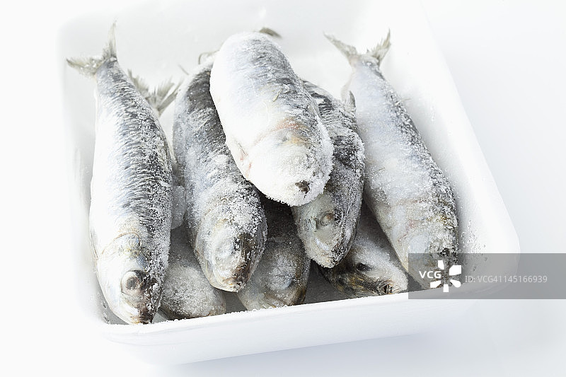 白色背景碗中的冷冻沙丁鱼图片素材