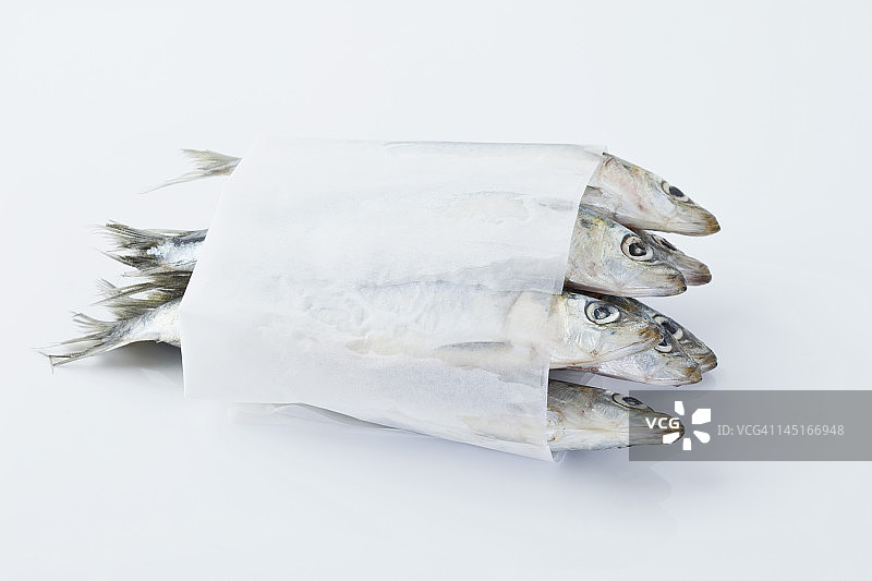 白底蜡纸上的沙丁鱼图片素材
