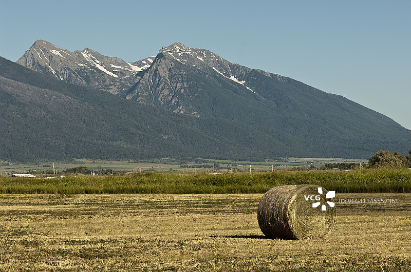 蒙大拿州干草田图片素材
