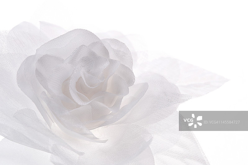 纸巾玫瑰图片素材