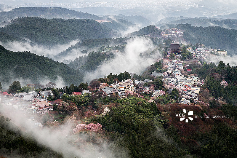 春季雨中的吉野山图片素材