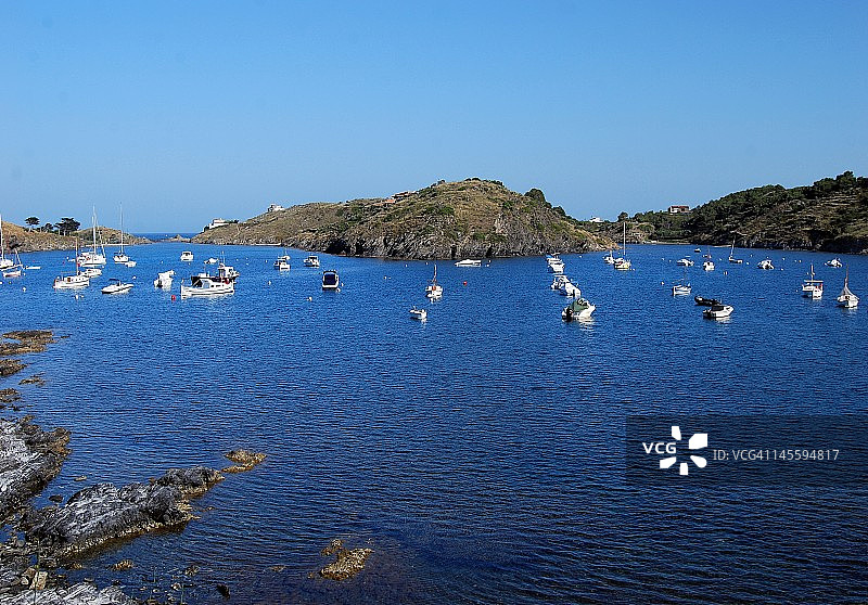 波特利加特图片素材