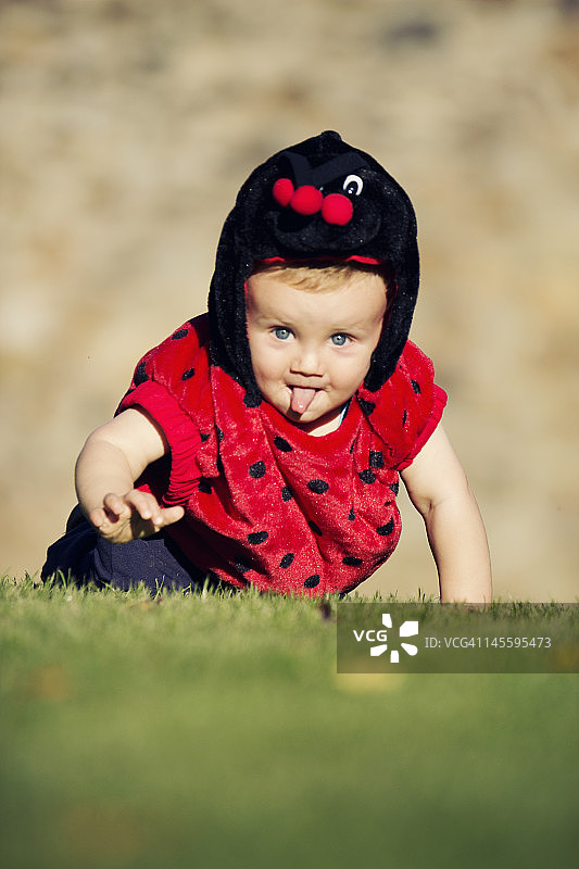 瓢虫服装宝宝图片素材