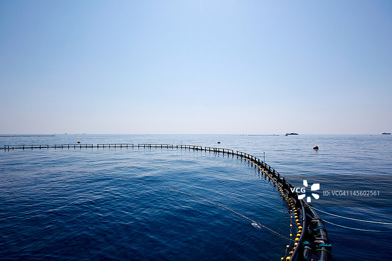 蓝鳍金枪鱼养殖场图片素材