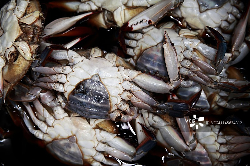 韩国美食：酱蟹图片素材