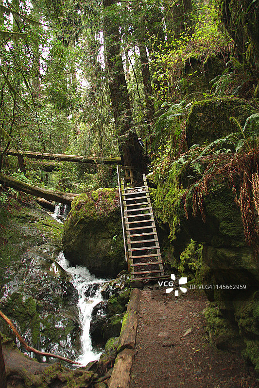 陡峭的峡谷小径图片素材