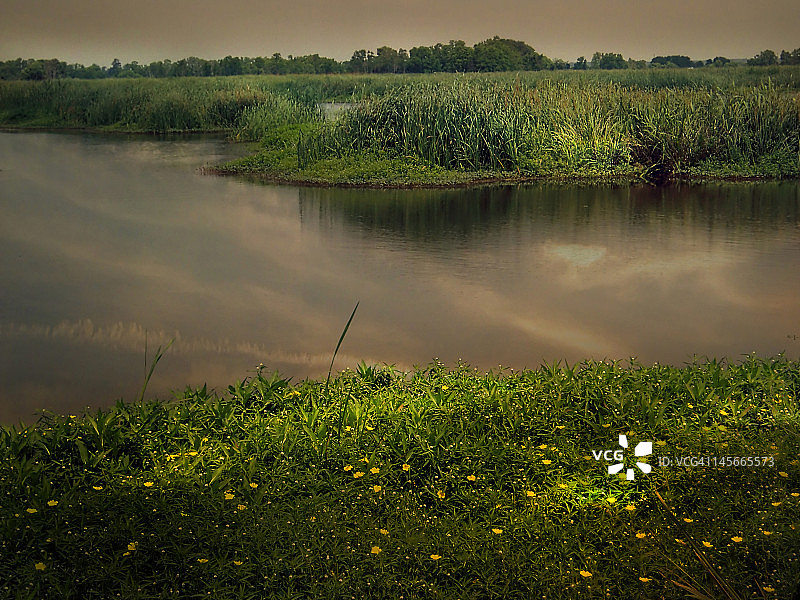 光影中的沼泽图片素材