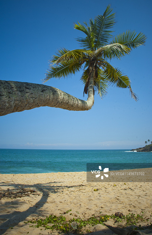 南部村庄海滩图片素材