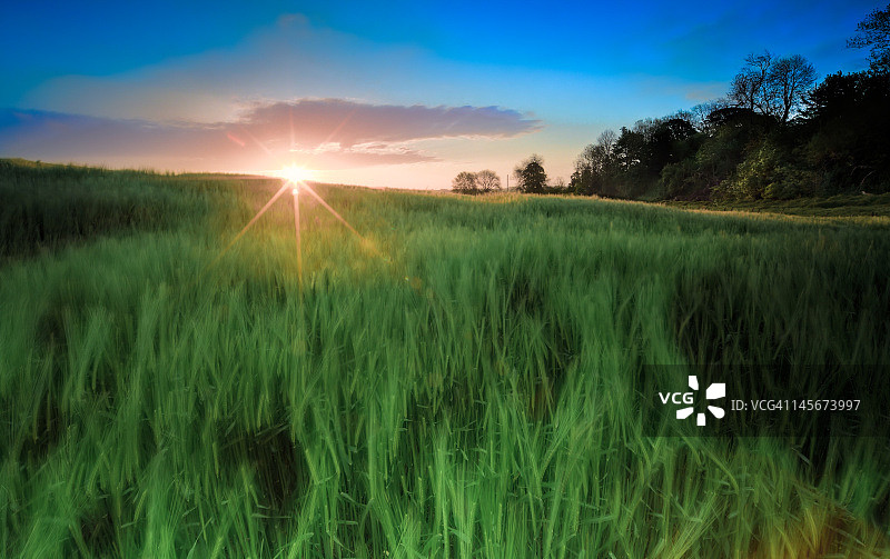 芬德斯路麦田的日出图片素材