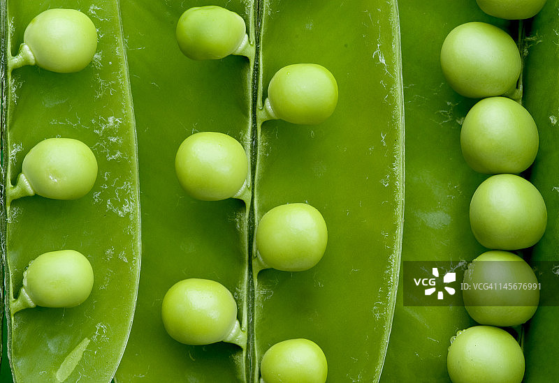 豌豆荚图片素材