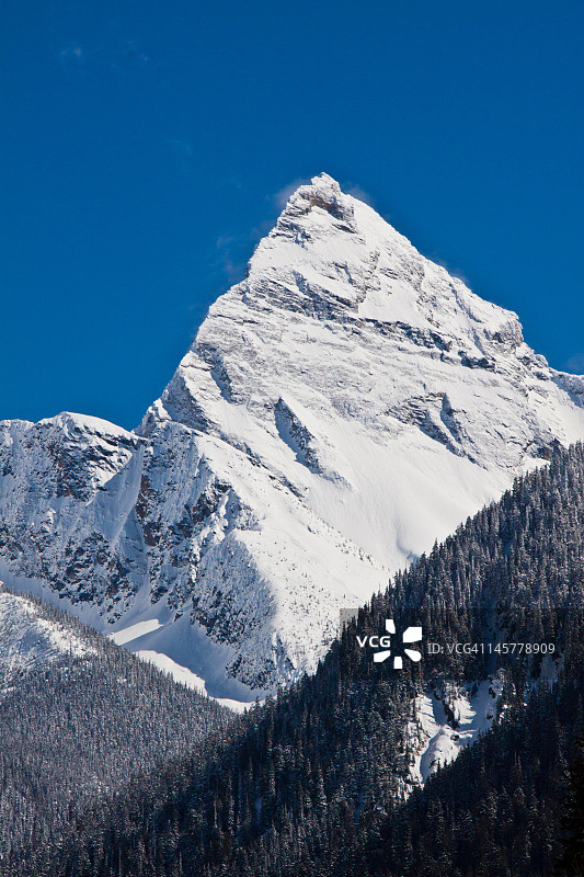 早春的塞尔柯克山脉图片素材
