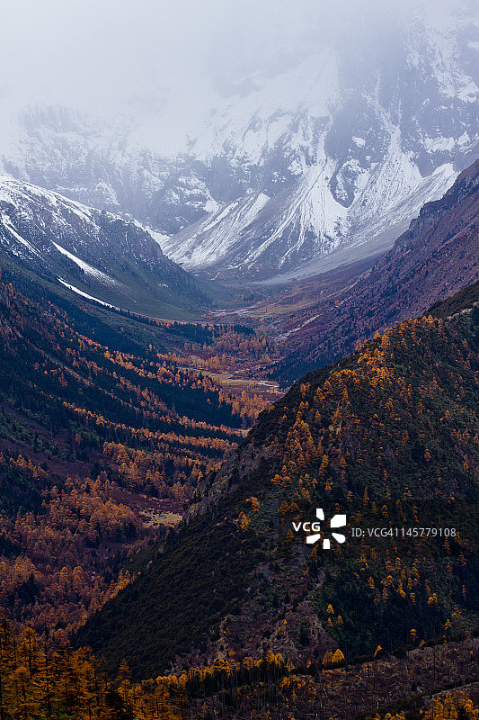 白马雪山图片素材