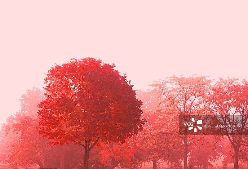 红色黎明图片素材