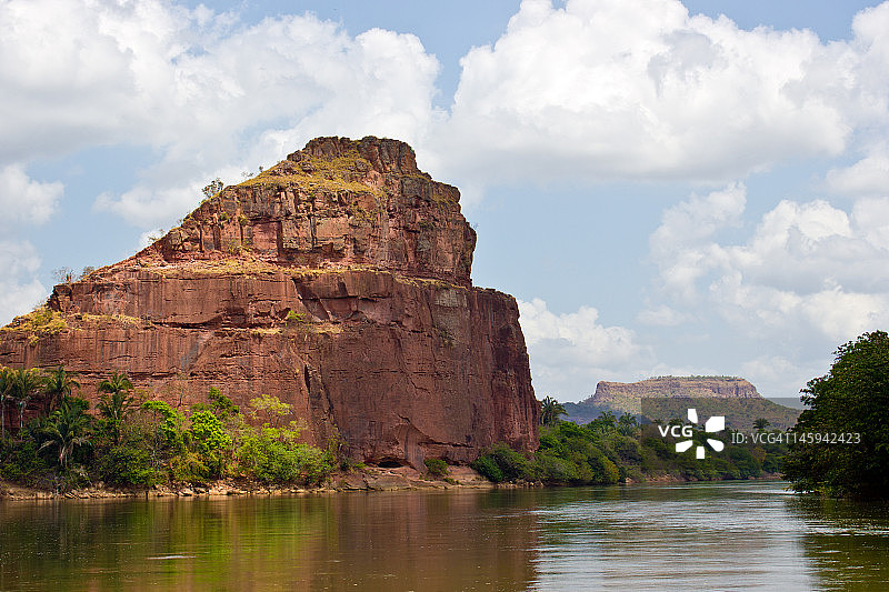 莫罗金刚鹦鹉图片素材