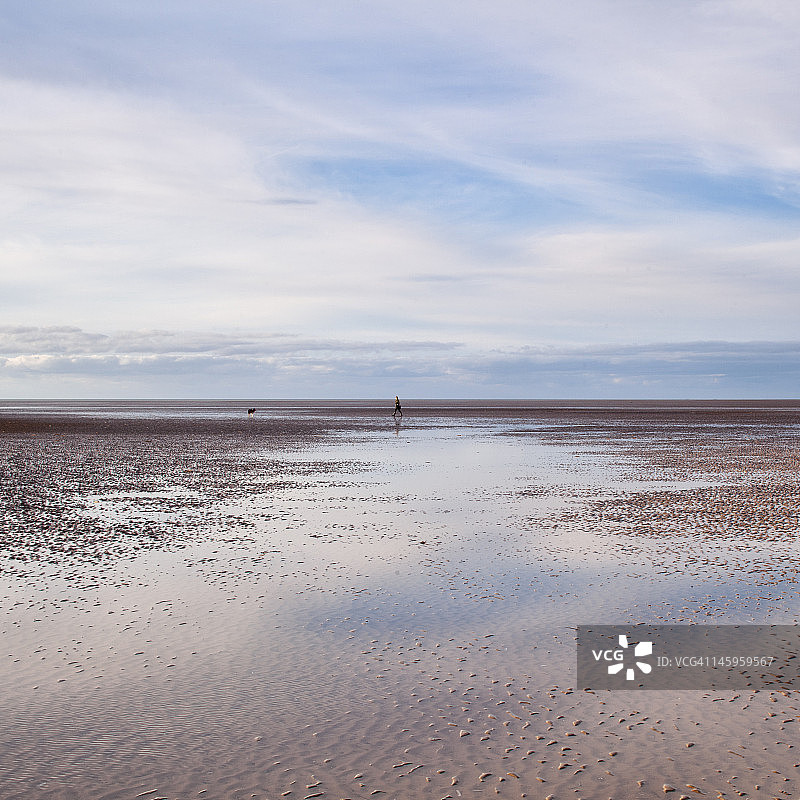 在海滩上遛狗图片素材