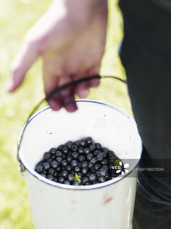 男人拿着一桶蓝莓图片素材