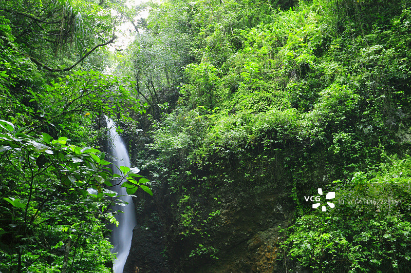 瀑布雨林景观图片素材