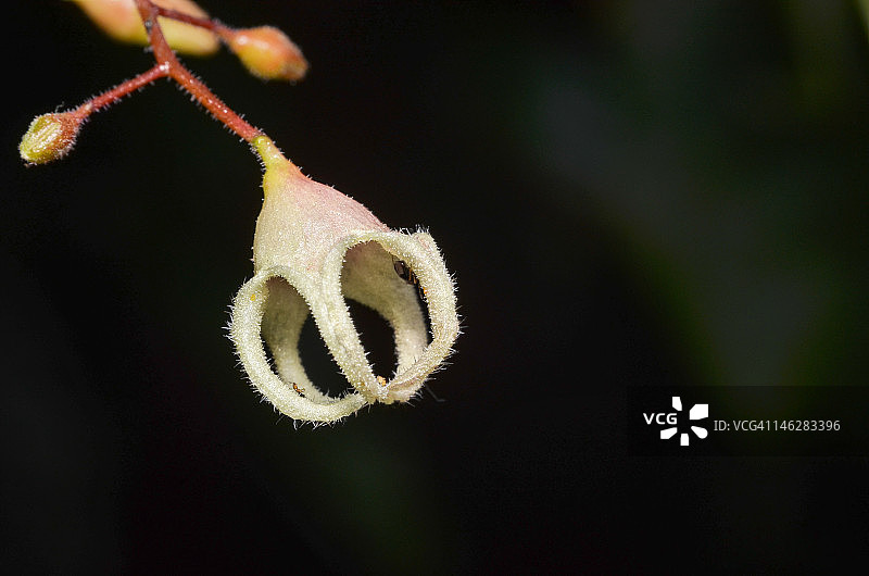 昆虫旅馆图片素材