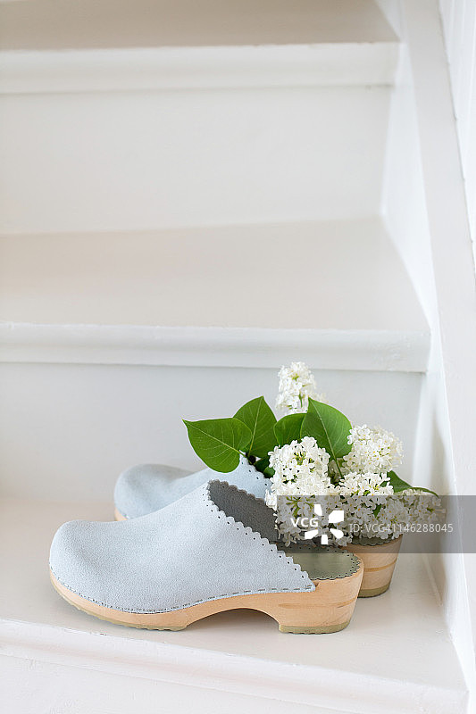 木鞋和丁香花图片素材