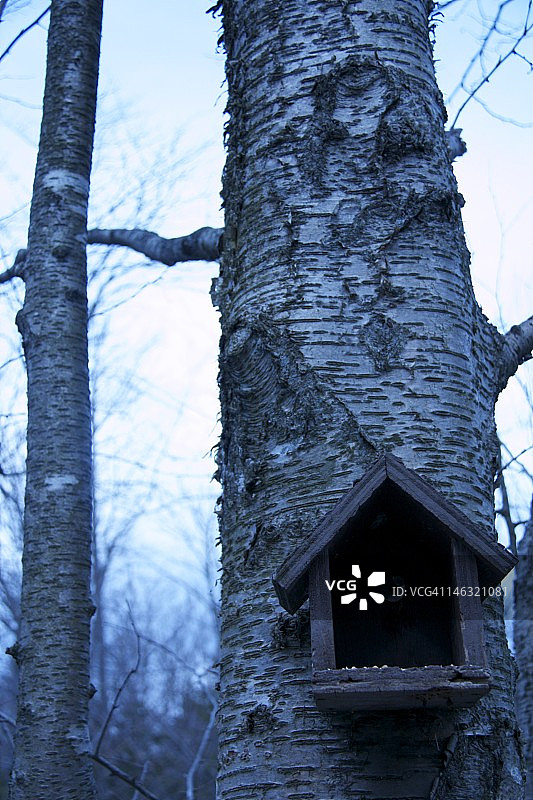 达特茅斯公园图片素材