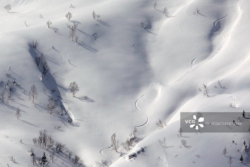 冬季山区树木图片素材