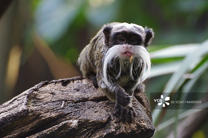 吃饭时间图片素材