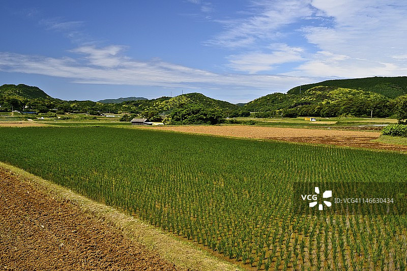 彩色田野图片素材
