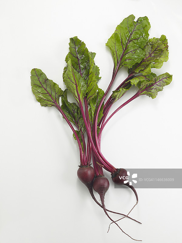 红甜菜图片素材