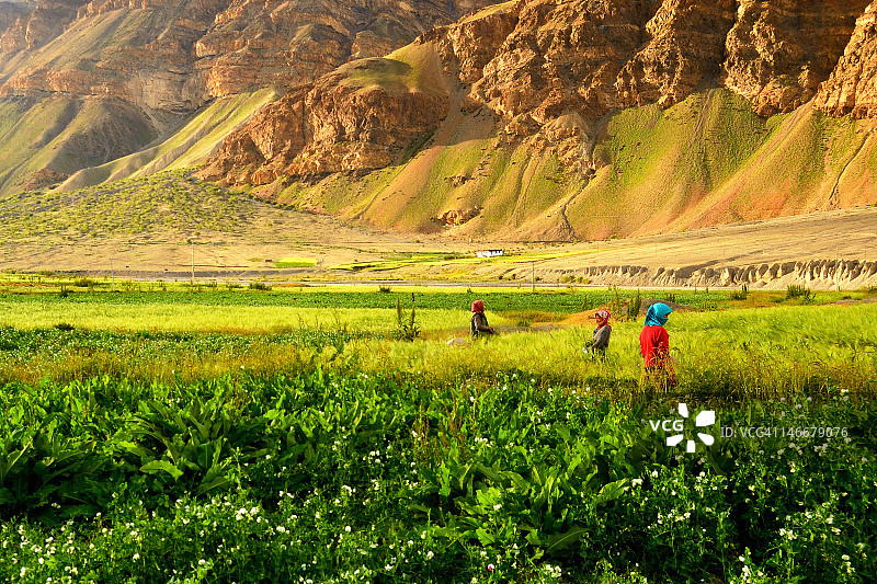 斯皮提山谷图片素材